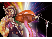 Montagem de Jimi Hendrix com o filme "2001: Uma Odisseia no Espaço" e um cogumelo mágico.