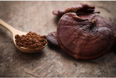 Cogumelo Reishi: benefícios, efeitos e usos