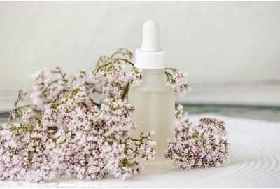 Tintura de valeriana: para que serve, benefícios e mais!