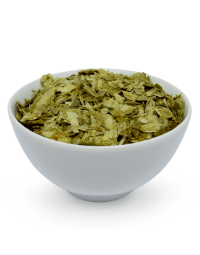 Lúpulo - (Humulus lupulus L.)