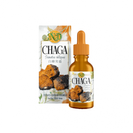 Extrato de Cogumelo - Chaga