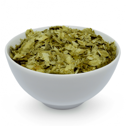 Lúpulo - (Humulus lupulus L.)