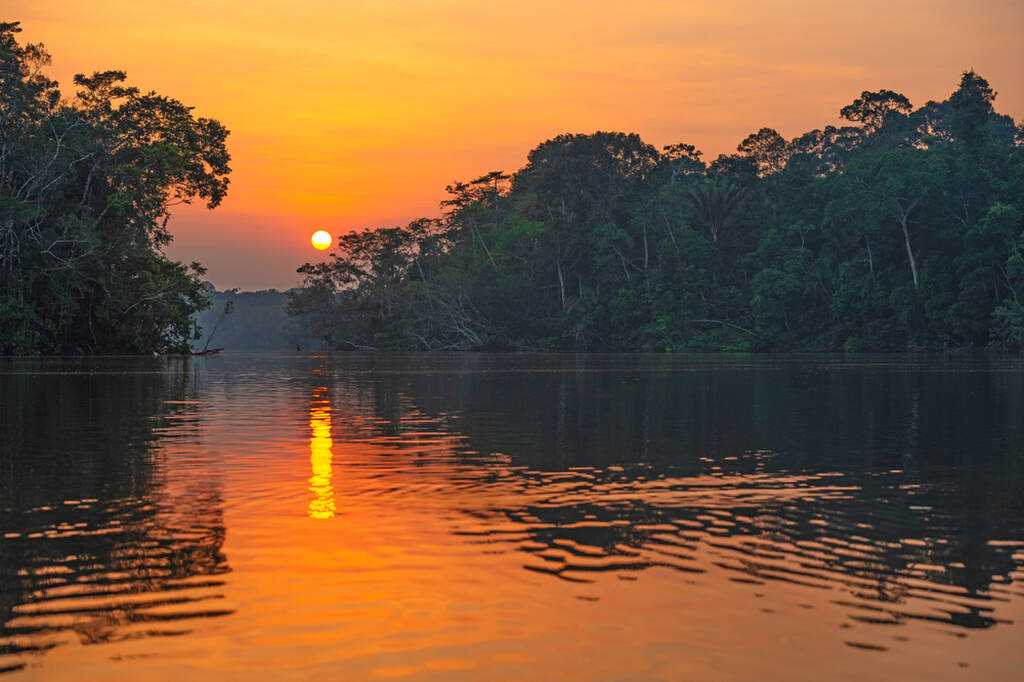 Chaliponga efeitos, vista da floresta amazônica