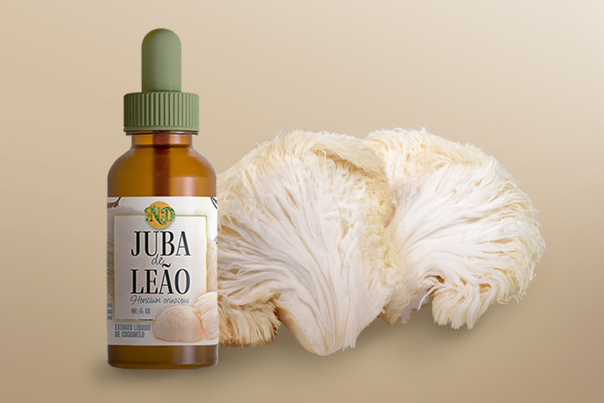 Extrato de cogumelo Juba de Leão da loja Natureza Divina, ao lado de pedaços de Juba de Leão in natura.