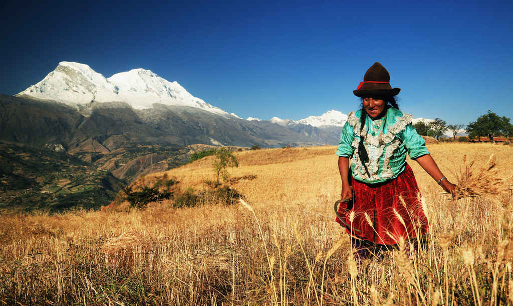 Maca Peruana, para que serve. Mulher peruana