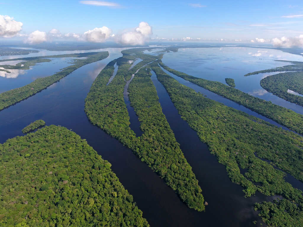 Rio amazônico, sananga